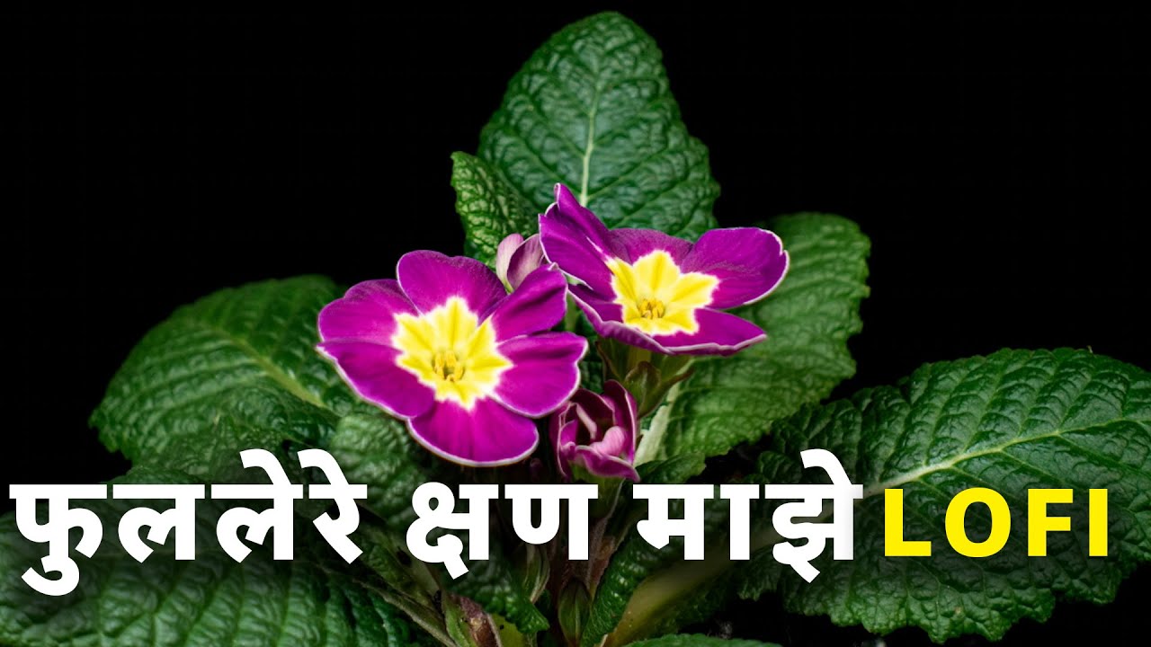 Phulale Re Kshan Majhe ( LOFI SLOW REVERB ) II फुललेरे क्षण माझे (आशा भोसले )