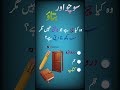 The Quiz Vault 📚 Daily Islamic, Knowledge Quizzes | Learn Islam | Test Your Brain | #quiz #quiztime