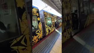 京都駅にて珍しく柄の列車　#jr #京都#列車