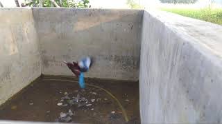 Rare Indian Kingfisher Catching Fish In Slow Motion Kingfisher  Death From Above