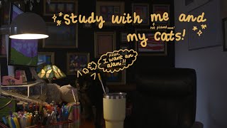 long day of studying as a PA student (50/10 pomodoro split, no music)
