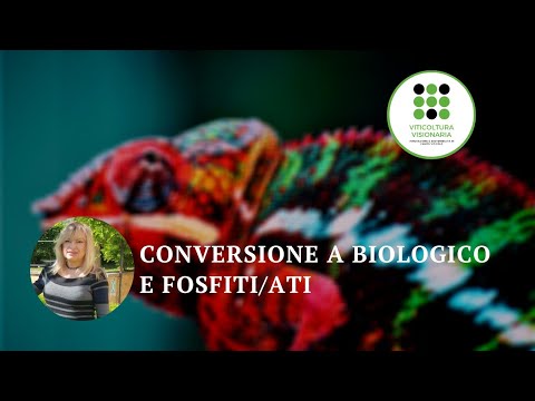 Video: Valutazione Delle Prestazioni Di Un Reattore Batch Di Sequenziamento Ibrido In Condizioni Saline E Iper-saline