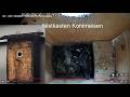 Live 2026 Nistkasten Nestbau Kohlmeisen
