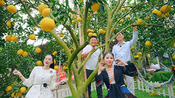 SAPA TV | CÂY BƯỞI 200 TRIỆU ĐẮT GIÁ NHẤT BẮC NINH TẠI NGÀY KHAI MẠC LỄ HỘI TRÁI CÂY BẮC NINH 2025