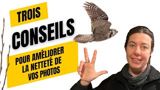 3 conseils pour améliorer la netteté de vos photos