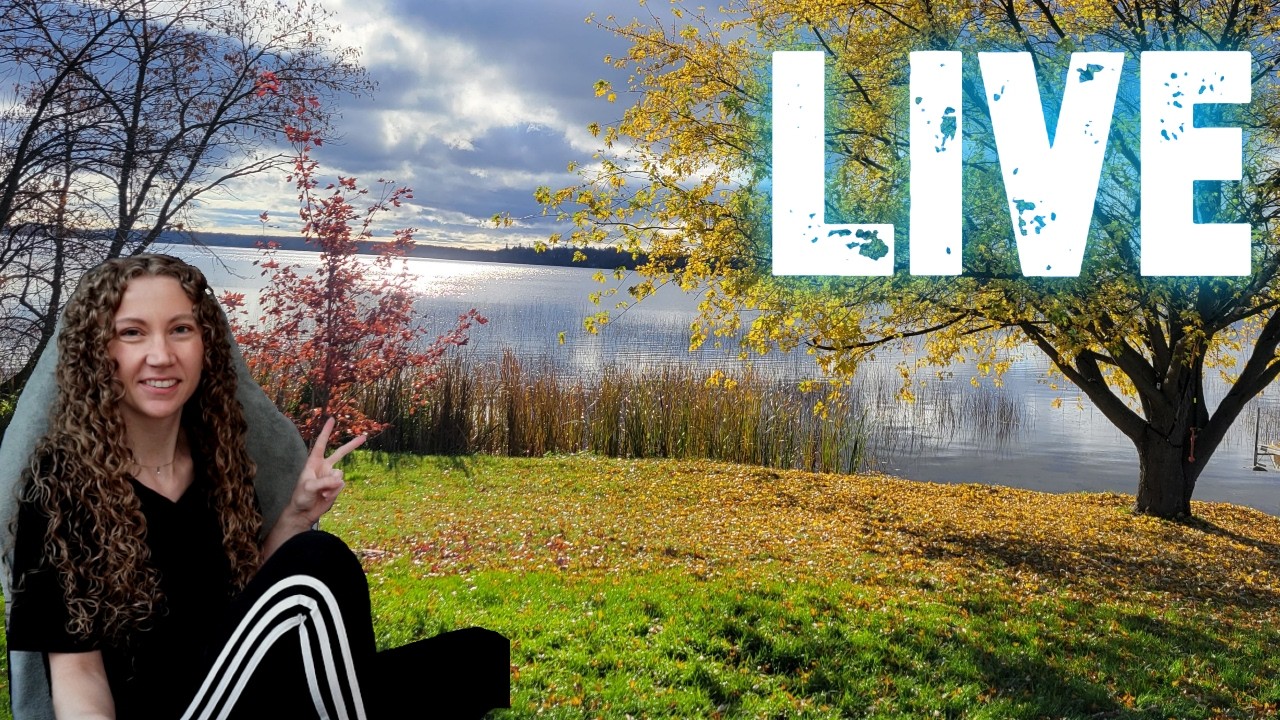 ✨ LIVE ✨ 😁 PLZ my last BPs 👀 ✨ MAX LvL ✨82/83 BPs ✨ ARC Raiders ✨