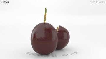 Passion Fruit 3D model by 3DModels.org