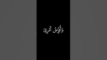 فَسَتَذكُرونَ ما أَقولُ لَكُم || كروما قران كريم شاشة سوداء || ابو بكر الشاطري