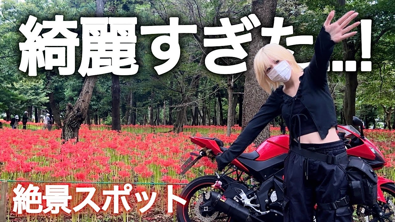 ★キズ物★H-D Motorcycle Girl縦80，横60キャンパス地 YouTube