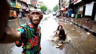 Un Gurr Viral trend Video🤪 I Funny ai video IThe Monkey Vloger🤣