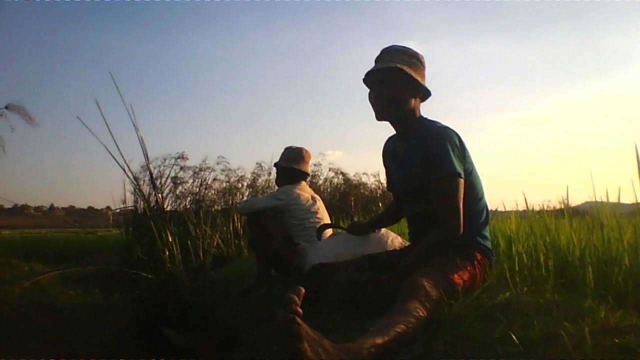 Rano ALAKAMISY AMBOHIMAHA