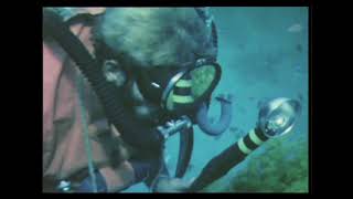 Diving in Eilat Red Sea 1965