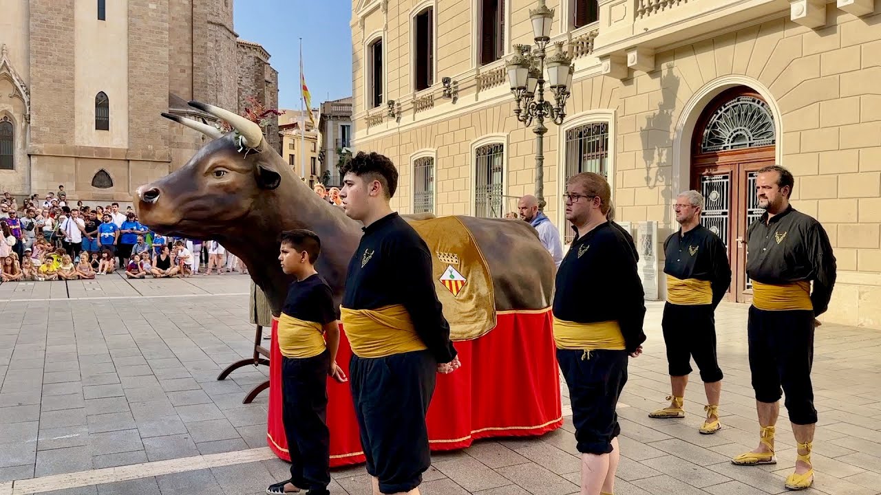 Estrena del BOU de Sabadell i Balls de Protocol (Festes de Sant Feliu Sabadell 2024) Episodi nº 1