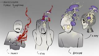 Creating a World of Microscopic Demons