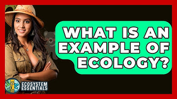 What Is An Example Of Ecology? - Ecosystem Essentials