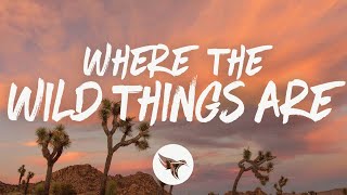 Luke Combs  Where the Wild Things Are (Lyrics)