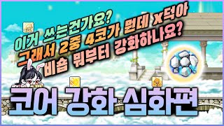 맨날 2중4코 하라는데 그래서 2중4코가 뭔데 X덕아? [코어강화,코강]