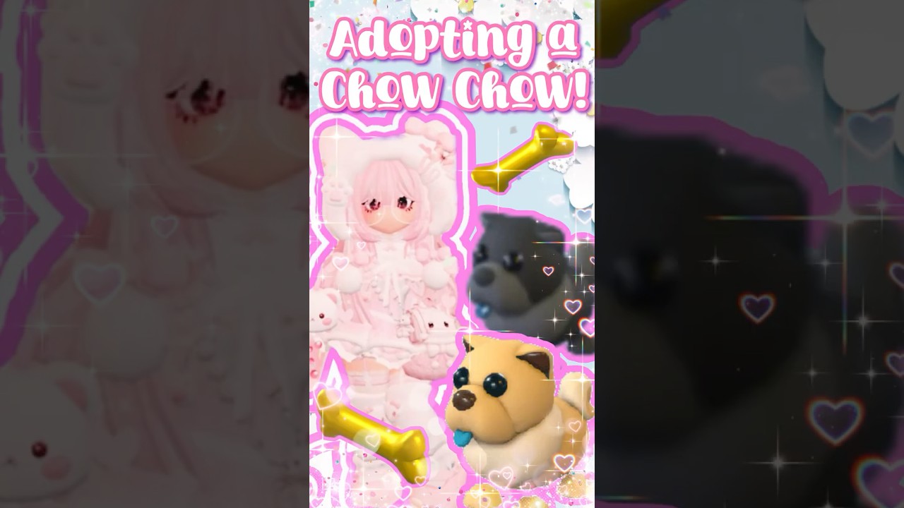 ADOPT a CHOW CHOW With Me!! 🦴🐕|| Adopt Me 2026 
