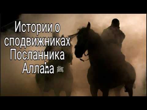 АБУ ЗАРР АЛЬ-ГИФАРИ 《Ни земля, ни небо не видели более искреннего человека, чем Абу Зарр. 》