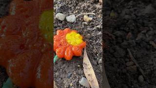 Sharing fl0wer candy and m4rsmallow with ants #short #candy