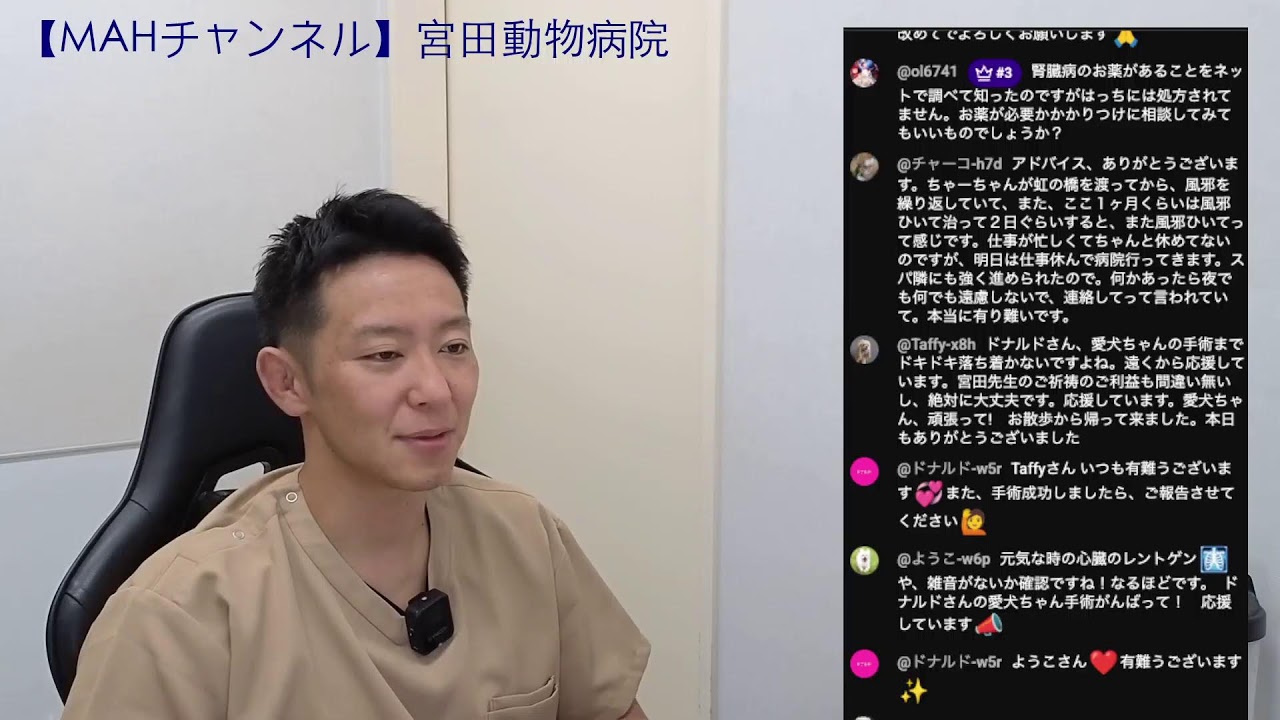 Miyata Animal Hospital Live Stream [MAH Channel] - YouTube