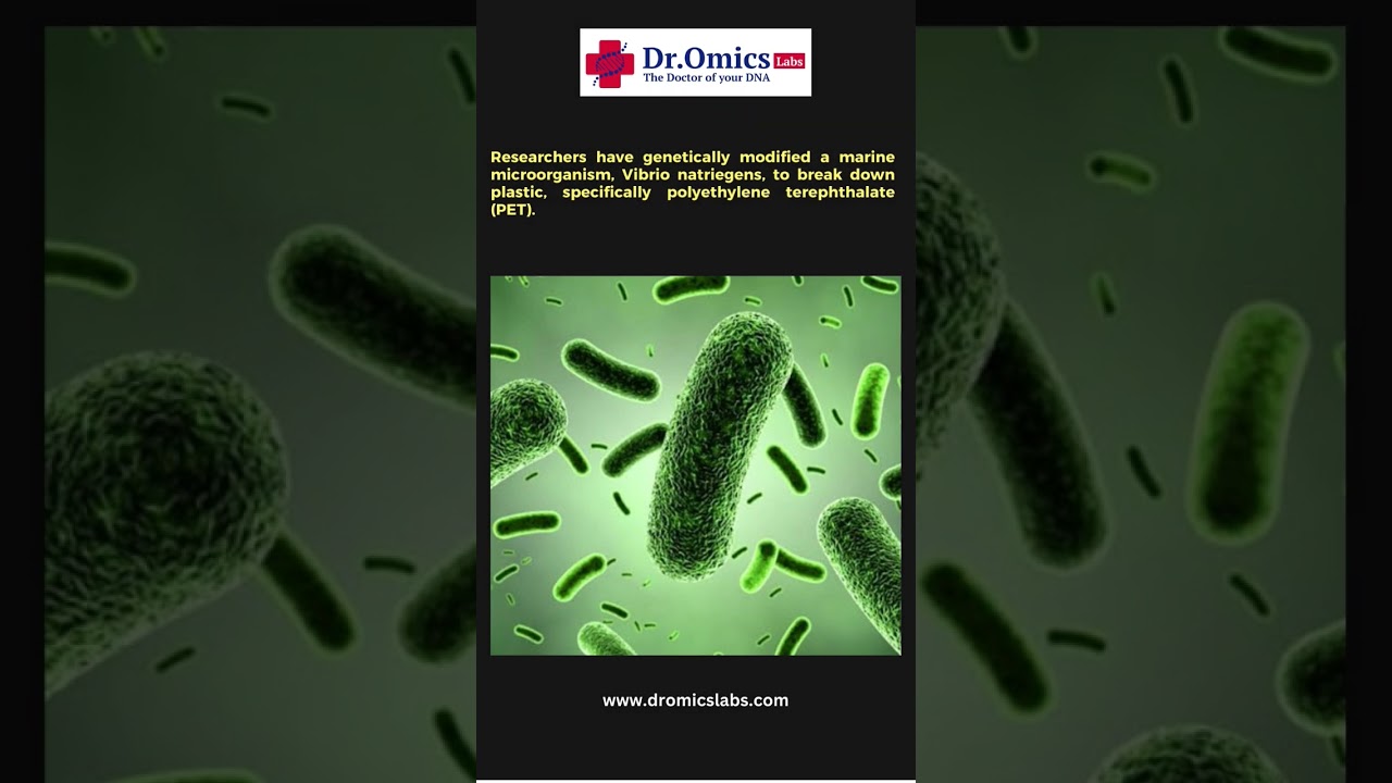 Plastic degrading Bacteria 🦠 