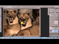 How To Make A Vignette In Photoshop