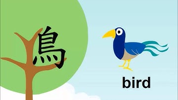 The Development of Chinese Characters - Bird