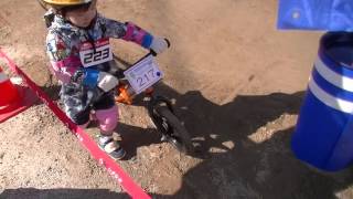 【春翔くん２歳】①『特別賞をいただきましたレース･･･本番に遊園地化！？』第4戦＜秋＞ しまなみランニングバイク選手権2015｜松山市【雑貨屋Lea Mahalo】看板息子の珍プレイおもしろ動画