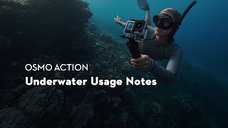 Osmo Action｜Underwater Usage Notes | DJI India