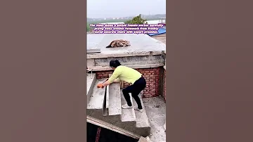 Formwork Freedom The Art Of Concrete Mold Liberation 