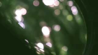 Rumination