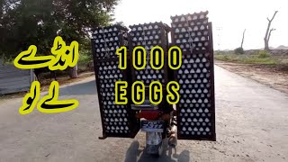 Sair Sapata Ll Travel Video Ll Vlogs By Izhar Rana