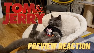 MR BOBBY CAT'S REACTION TO TOM AND JERRY MOVIE