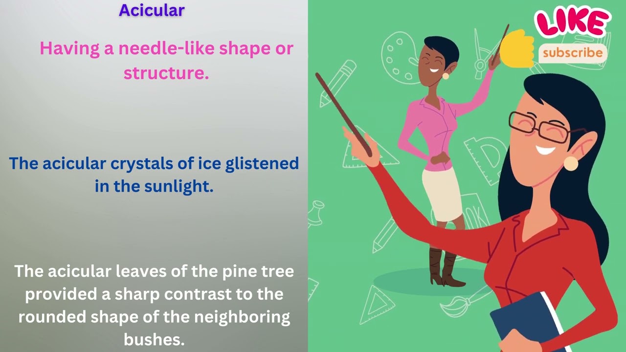 Acicular Meaning in English With Example