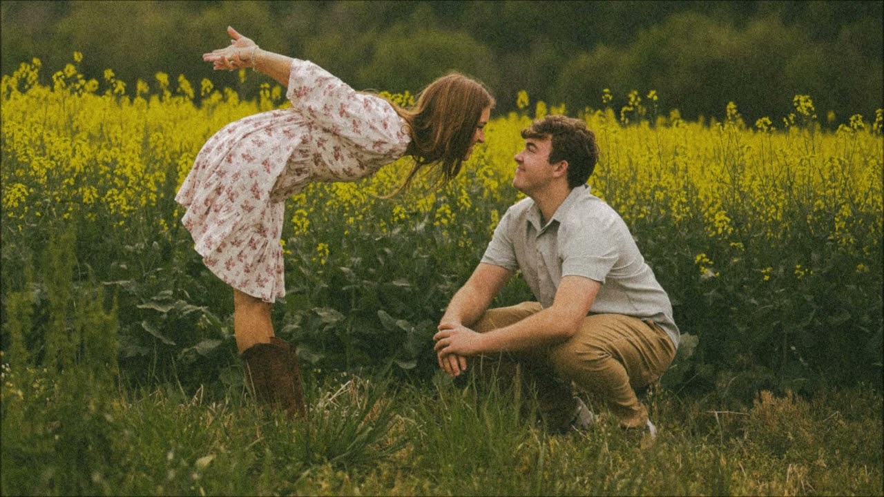 Last Dinosaurs - Purxst