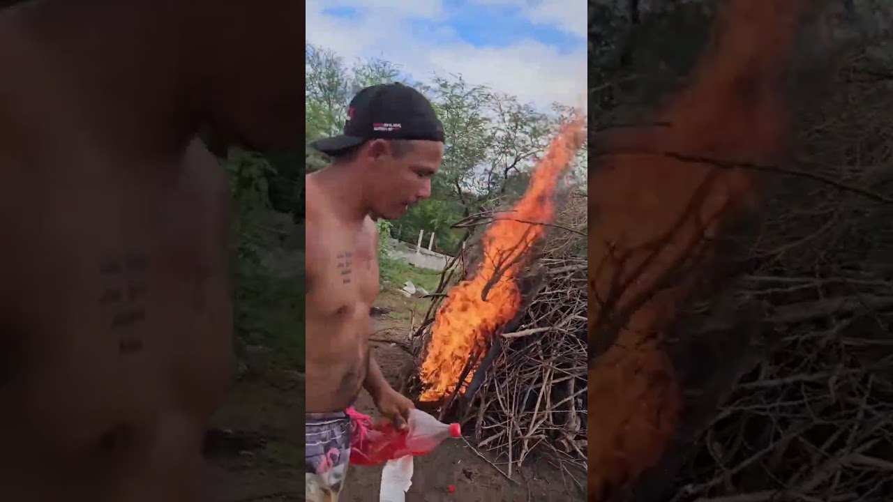 O porco será que ficou bom?