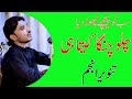 Chalo changa kitae singer tanveer abbas anjum new super hit saraiki song 2021