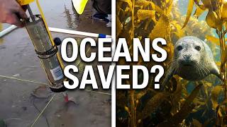 World Oceans Day: We're Finally Saving the Ocean's Hidden Habitats