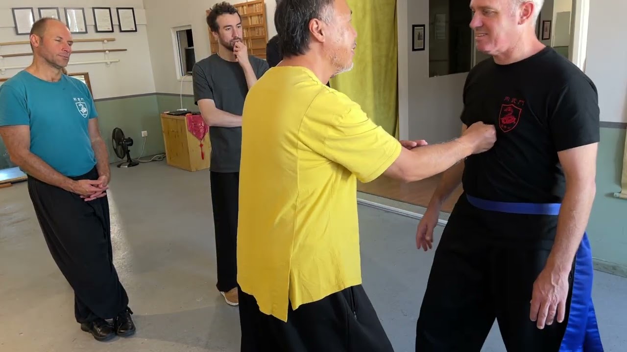 Stage de Xingyi Quan traditionnel octobre 2022 extrait 2/2 - École d'arts martiaux internes