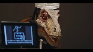 The Most Mildly Interesting Video In The World