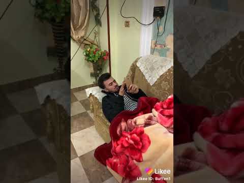 دماغ شغالة مبتنمش