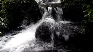 Waterfall sound in the forest