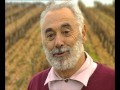 La route des vins  languedoc