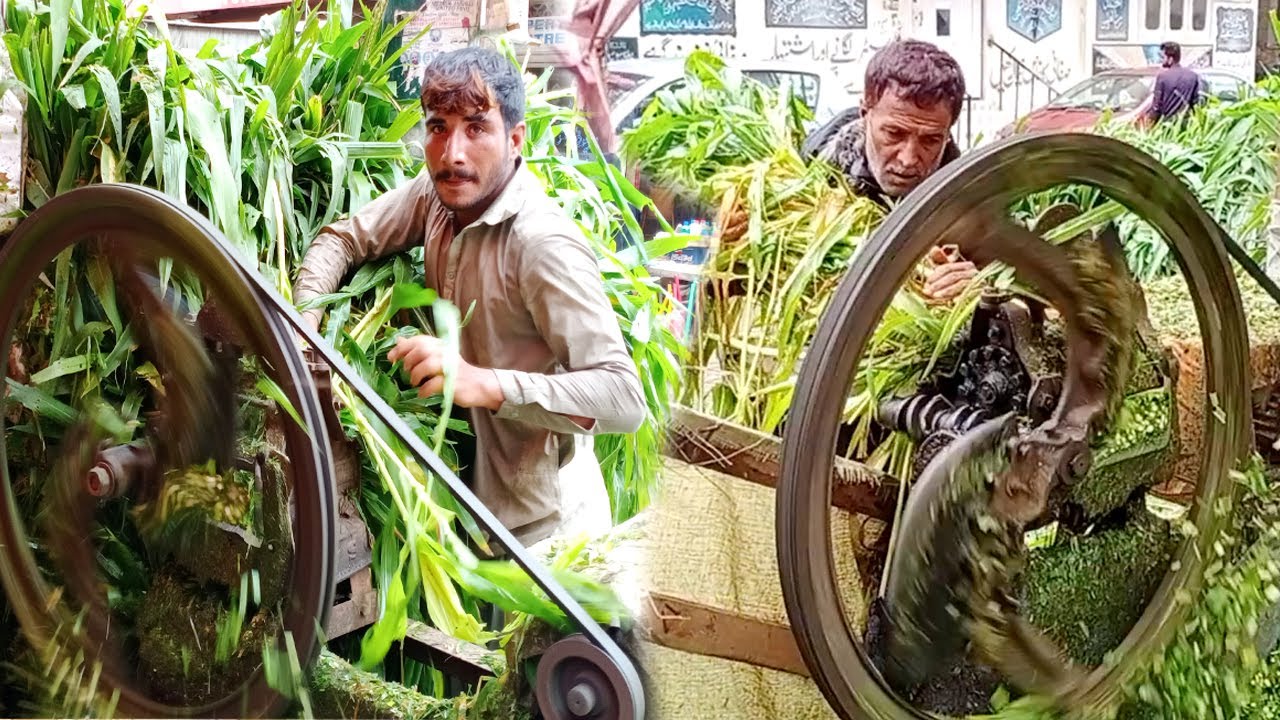 Fodder Machine Grass Chopper Machine Fodder Chopper Machine fodder-machine-grass-chopper-machine-fodder-chopper-machine