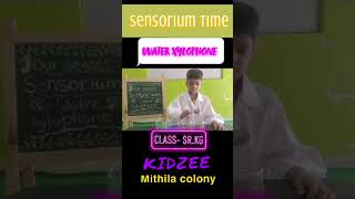 Sensorium Time Water Xylophone Sensorium Time
