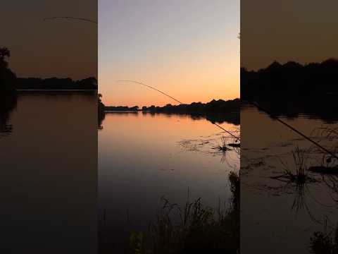 На правильной волне! Завтра новые видео! #рыбалка #рыбалканафидер #fishing #fishinghub