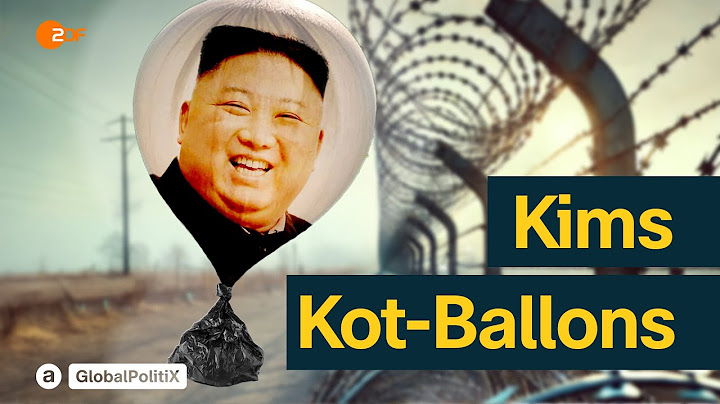 Was an Nordkoreas grotesker Grenze abläuft | Global PolitiX