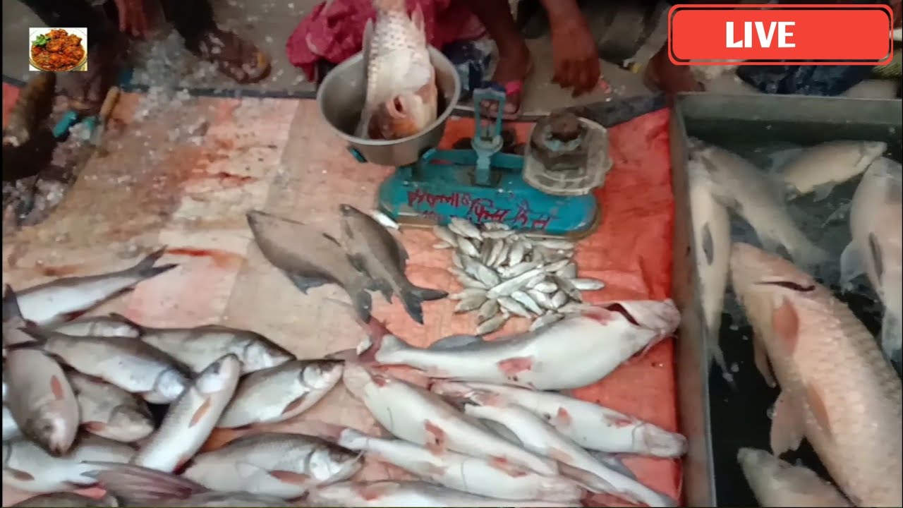 Amazing Giant Rita-Rohu-Fish Cutting Skills Live In Fish Market | Fish cutting Live
