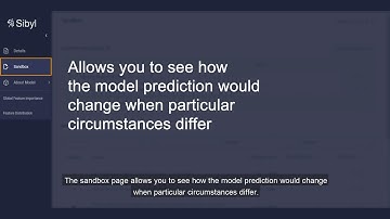 Sibyl: Explaining Machine Learning Models for High-Stakes Decision Making